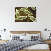 conceptueel Afbeelding van uglena 3 Canvas Afdruk (Insitu (Slaapkamer))