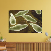 conceptueel Afbeelding van uglena 3 Canvas Afdruk (Insitu (Woonkamer))