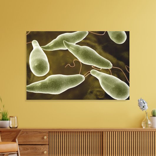 conceptueel Afbeelding van uglena 3 Canvas Afdruk (Insitu (Woonkamer))
