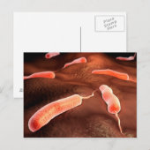 Conceptueel Afbeelding van vibrio cholerae 1 Briefkaart (Voorkant / Achterkant)