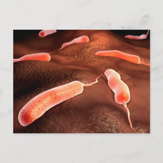 Conceptueel Afbeelding van vibrio cholerae 1 Briefkaart (Voorkant)