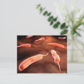 Conceptueel Afbeelding van vibrio cholerae 1 Briefkaart (Staand voorkant)