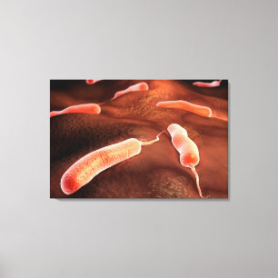 Conceptueel Afbeelding van vibrio cholerae 1 Canvas Afdruk