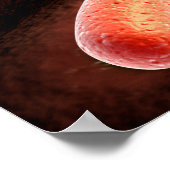 Conceptueel Afbeelding van vibrio cholerae 1 Poster (Hoek)