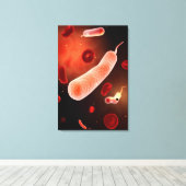 Conceptueel Afbeelding van Vibrio Cholerae 2 Canvas Afdruk (Insitu (Houten vloer))