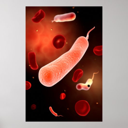 Conceptueel Afbeelding van Vibrio Cholerae 2 Poster (Voorkant)