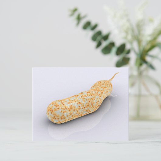 Conceptueel Afbeelding van Vibrio Cholerae 3 Briefkaart (Staand voorkant)