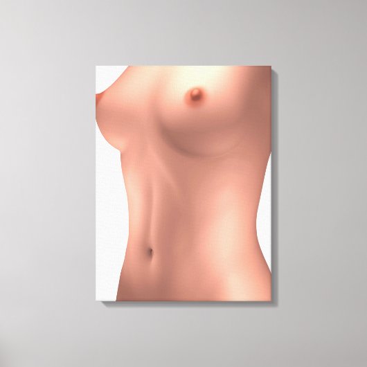 Conceptueel Afbeelding van Vrouw-romp Canvas Afdruk (Voorkant)