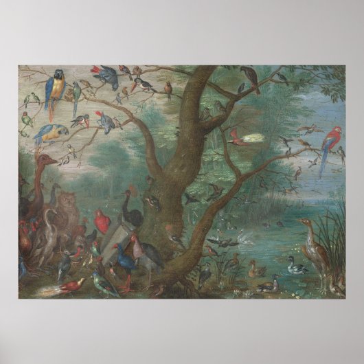 Concert d'oiseaux - Jan van Kessel Poster d'art (Devant)