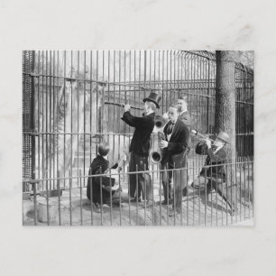 Concert voor ijsberen, 1925 briefkaart