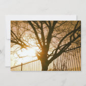Concevez l'arbre Modèle des invitations de votre p (Dos)