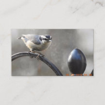 Concevez vos propres cartes de visite