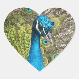 Concevez votre propre Stickers Photo Personnalisé 