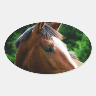 Concevez votre propre Stickers Photo Personnalisé 