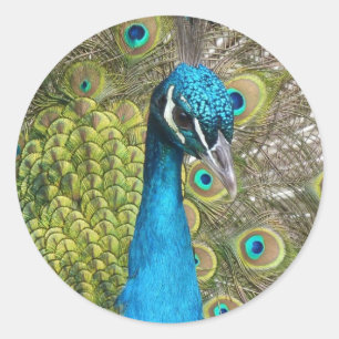 Concevez votre propre Stickers Photo Personnalisé 