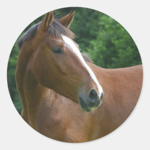 Concevez votre propre Stickers Photo Personnalisé 