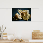 Conch 3335 Poster (Keuken)