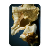 Conch 3335 Vinylmagneet Magneet (Verticaal)