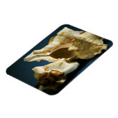 Conch 3335 Vinylmagneet Magneet (Linkerzijde)