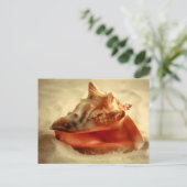 Conch Briefkaart (Staand voorkant)