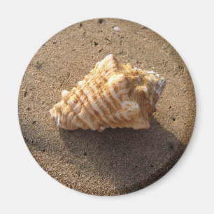 Conch Seashell Sand Beach Magnet Magneet