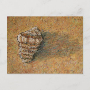 Conch Seashell Zand Beach Briefkaarten