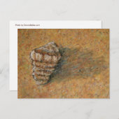 Conch Seashell Zand Beach Briefkaarten (Voorkant / Achterkant)