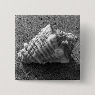 Conch Seashell Zand Beach Button Pin