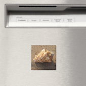 Conch Seashell Zand Beach Magnet Magneet (Insitu (Vaatwasser))