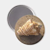 Conch Seashell Zand Beach Magnet Magneet (Voorkant / Achterkant)