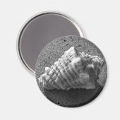 Conch Seashell Zand Beach Magnet Magneet (Voorkant / Achterkant)