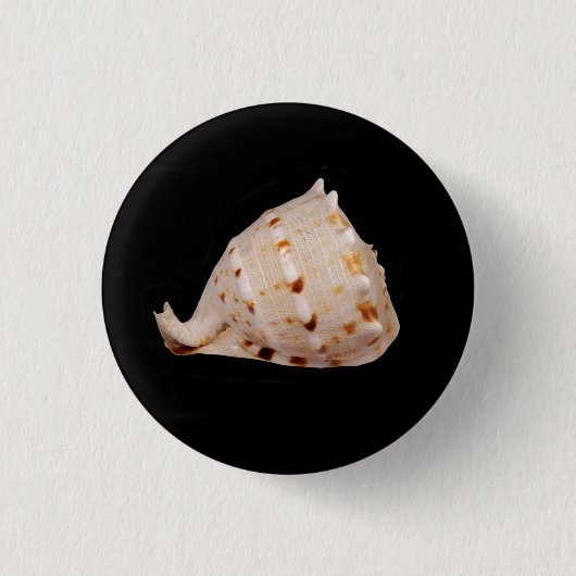 Conch Shell Badge Ronde Button 3,2 Cm (Voorkant)