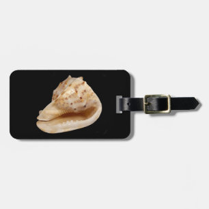 Conch Shell Bagagelabel