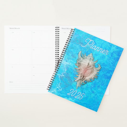 Conch Shell "Beach Life" (Devant avec enveloppe)