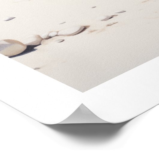 Conch shell bij het strand poster (Hoek)