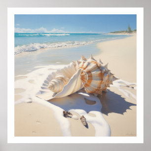 Conch shell bij het strand poster