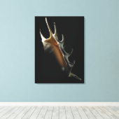 Conch shell canvas afdruk (Insitu (Houten vloer))