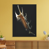 Conch shell canvas afdruk (Insitu (Woonkamer))