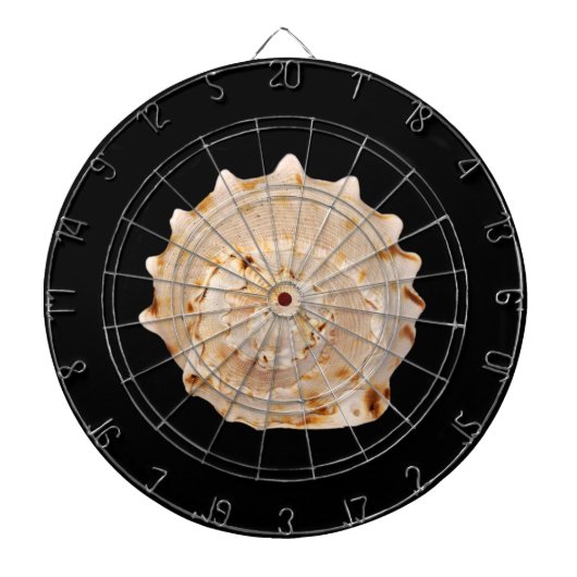 Conch Shell Dart Board Dartbord (Voorkant)
