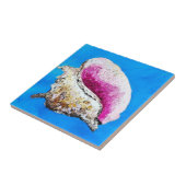 Conch Shell decoratieve Tegel Tegeltje (Zijkant)