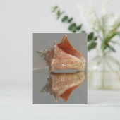 Conch Shell en zijn reflectie Briefkaart (Staand voorkant)