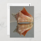 Conch Shell en zijn reflectie Briefkaart (Voorkant / Achterkant)
