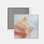 Conch Shell | Florida Magneet (Voorkant / Achterkant)
