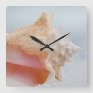 Conch Shell   Florida Vierkante Klok