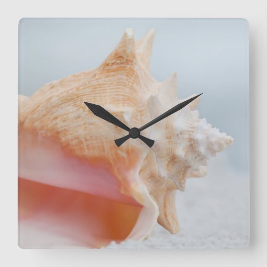 Conch Shell | Florida Vierkante Klok (Voorkant)