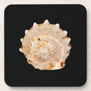 Conch Shell Hard Plastic Onderzetters