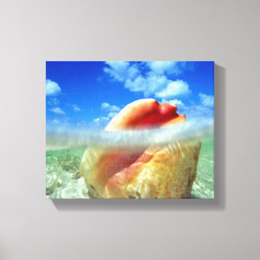 Conch Shell High Tide Canvas (Voorkant)
