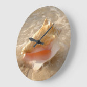Conch Shell in zand op tropisch strand Grote Klok (Hoek)