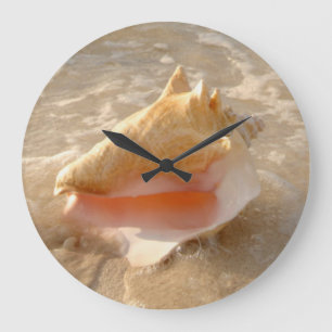 Conch Shell in zand op tropisch strand Grote Klok