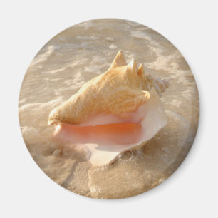 Conch Shell in zand op tropisch strand Magneet